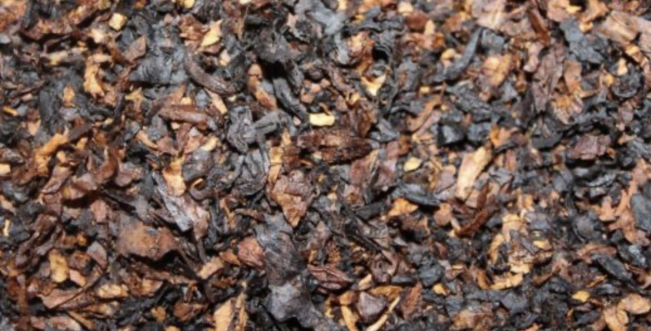 Starkville Smoke gallery photo