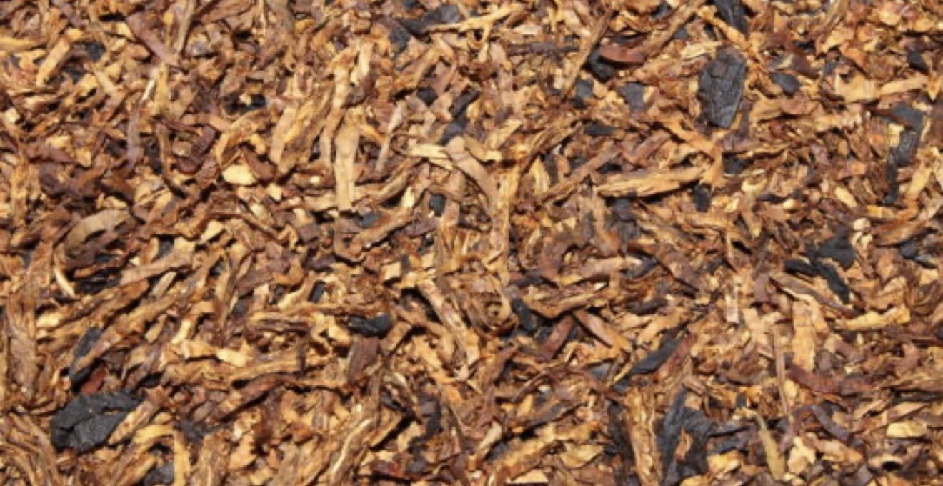 Starkville Smoke gallery photo